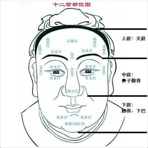 额头高面相男|男人额头高凸饱满面相分析全解析